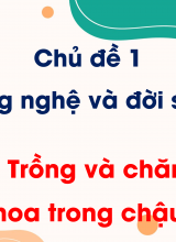 Chủ đề 1 - Bài 6 Trồng và chăm sóc hoa trong chậu